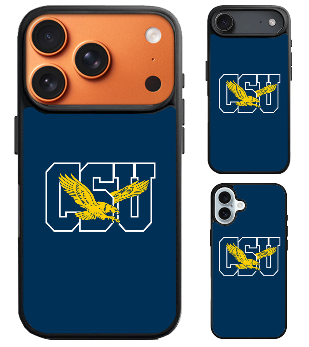 Coppin State Eagles iPhone Air | iPhone 17 | 17 Pro | 17 Pro Max Case