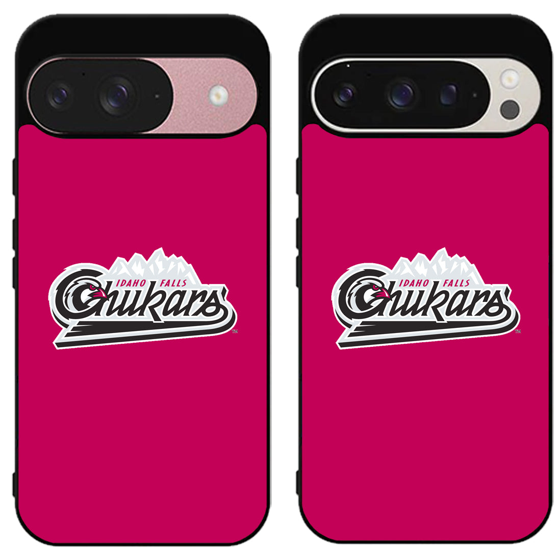 Idaho Falls Chukars Google Pixel 9 | 9 Pro | 9 Pro XL Case
