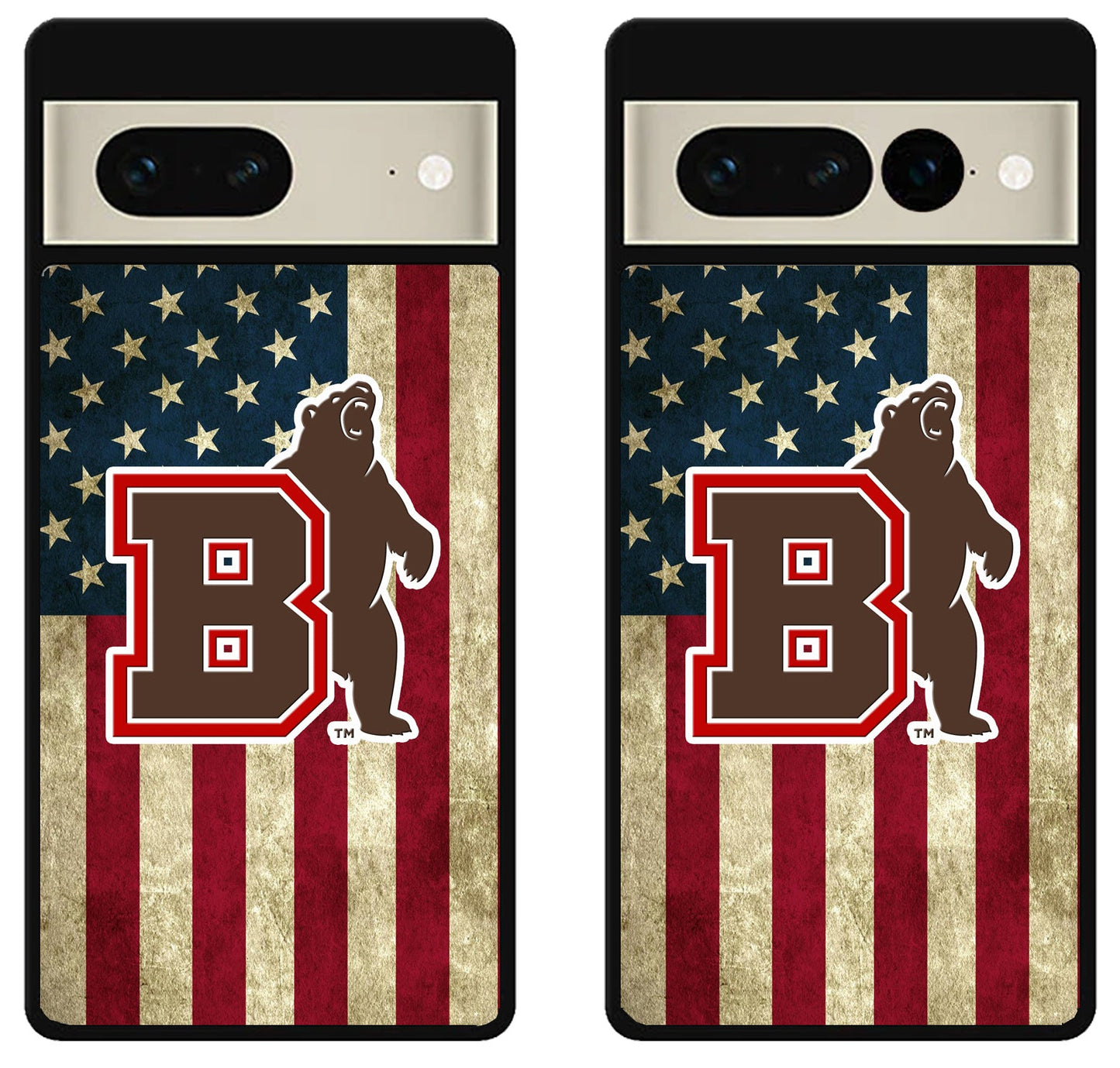 Brown Bears Flag Google Pixel 7 | 7 Pro Case