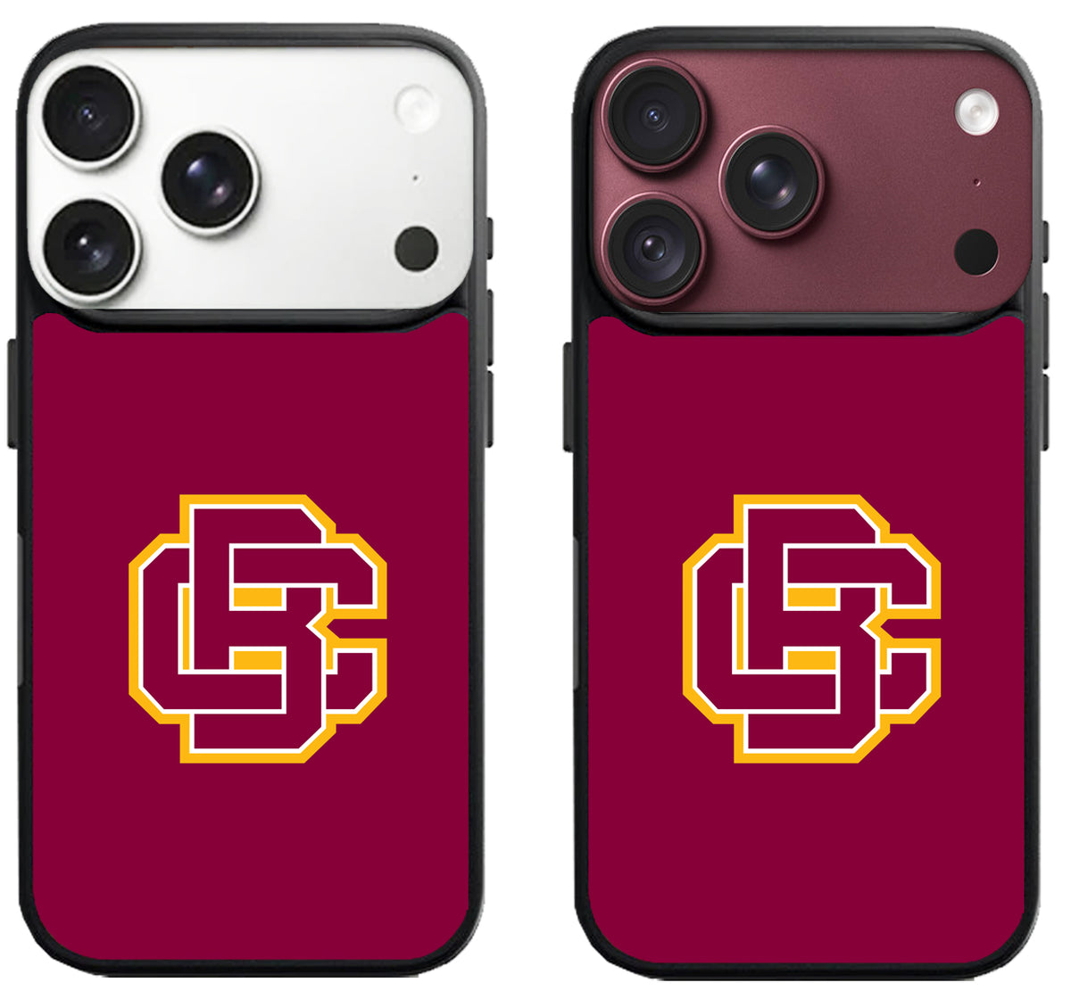 Bethune Cookman Wildcats iPhone 18 Pro | 18 Pro Max Case
