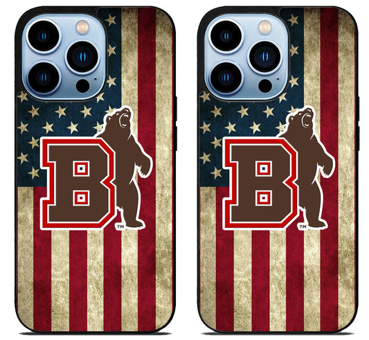 Brown Bears Flag iPhone 15 Pro | iPhone 15 Pro Max Case