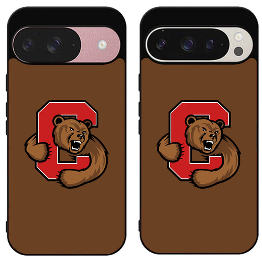 Cornell Big Red Cover Logo Google Pixel 9 | 9 Pro | 9 Pro XL Case
