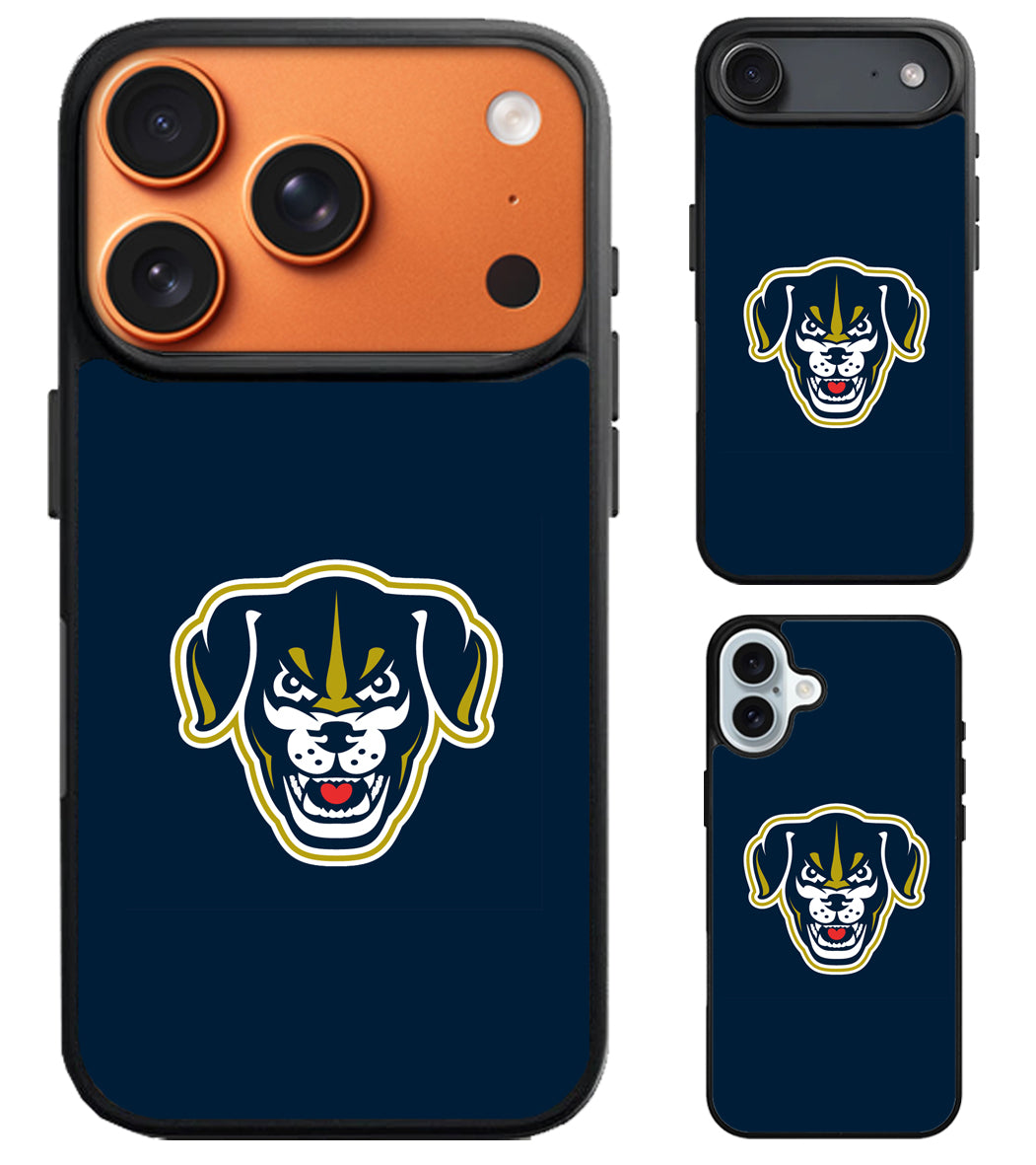 Lincoln Saltdogs Logo iPhone Air | iPhone 17 | 17 Pro | 17 Pro Max Case