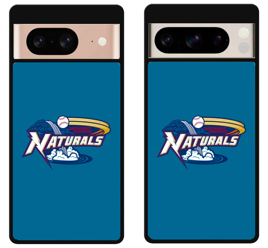 Northwest Arkansas Naturals Google Pixel 8 | 8 Pro Case