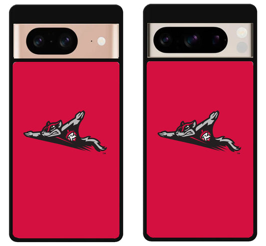 Richmond Flying Squirrels Google Pixel 8 | 8 Pro Case