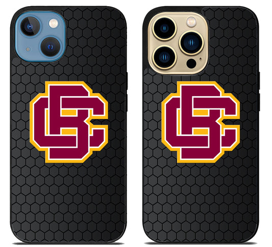 Bethune Cookman Wildcats Hexagon iPhone 14 | 14 Plus | 14 Pro | 14 Pro Max Case