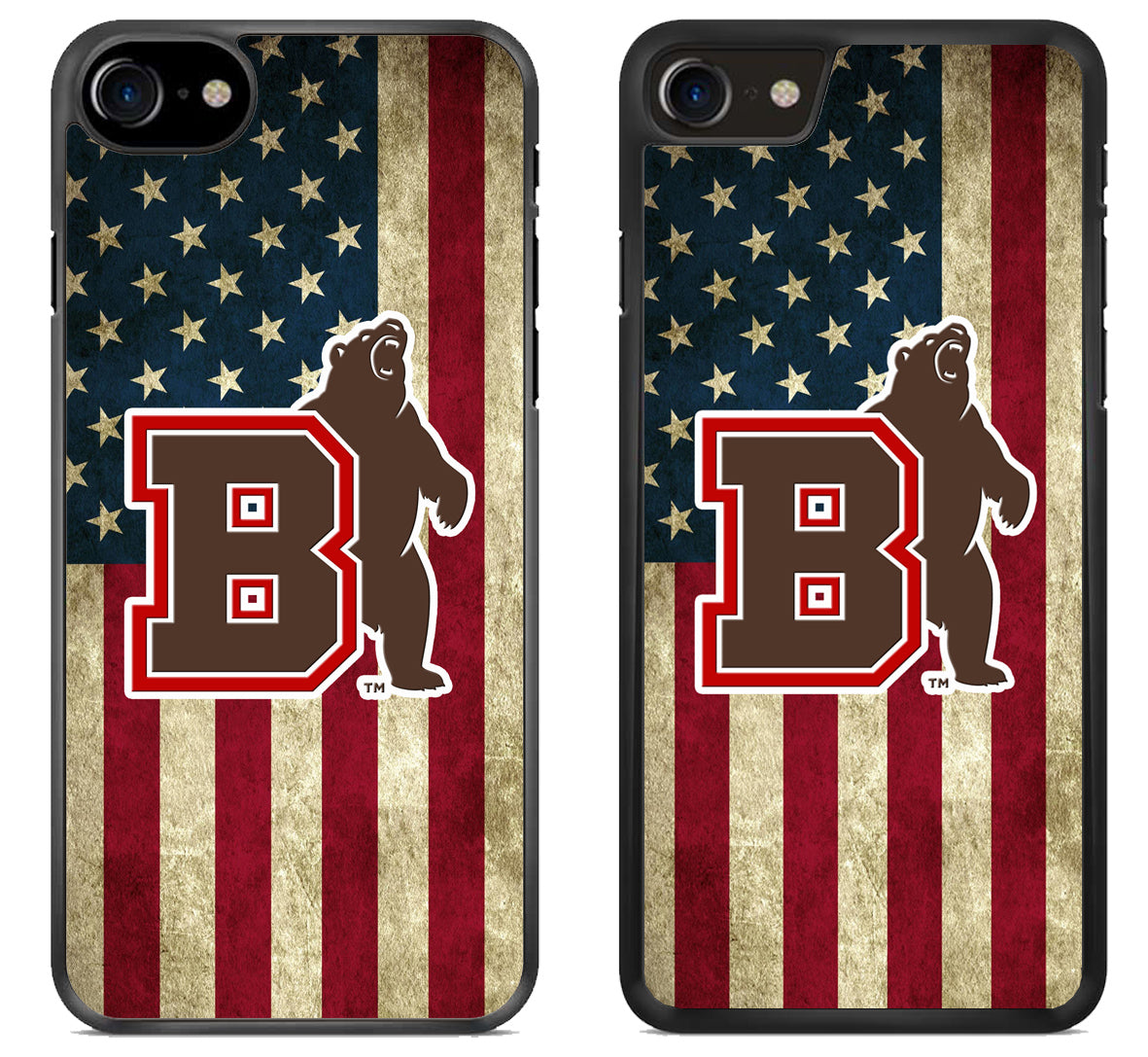 Brown Bears Flag iPhone SE 2020 | iPhone SE 2022 Case