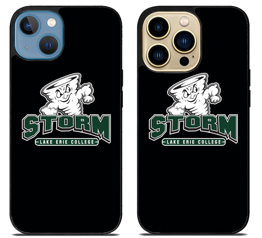 Lake Erie Storm Black iPhone 14 | 14 Plus | 14 Pro | 14 Pro Max Case