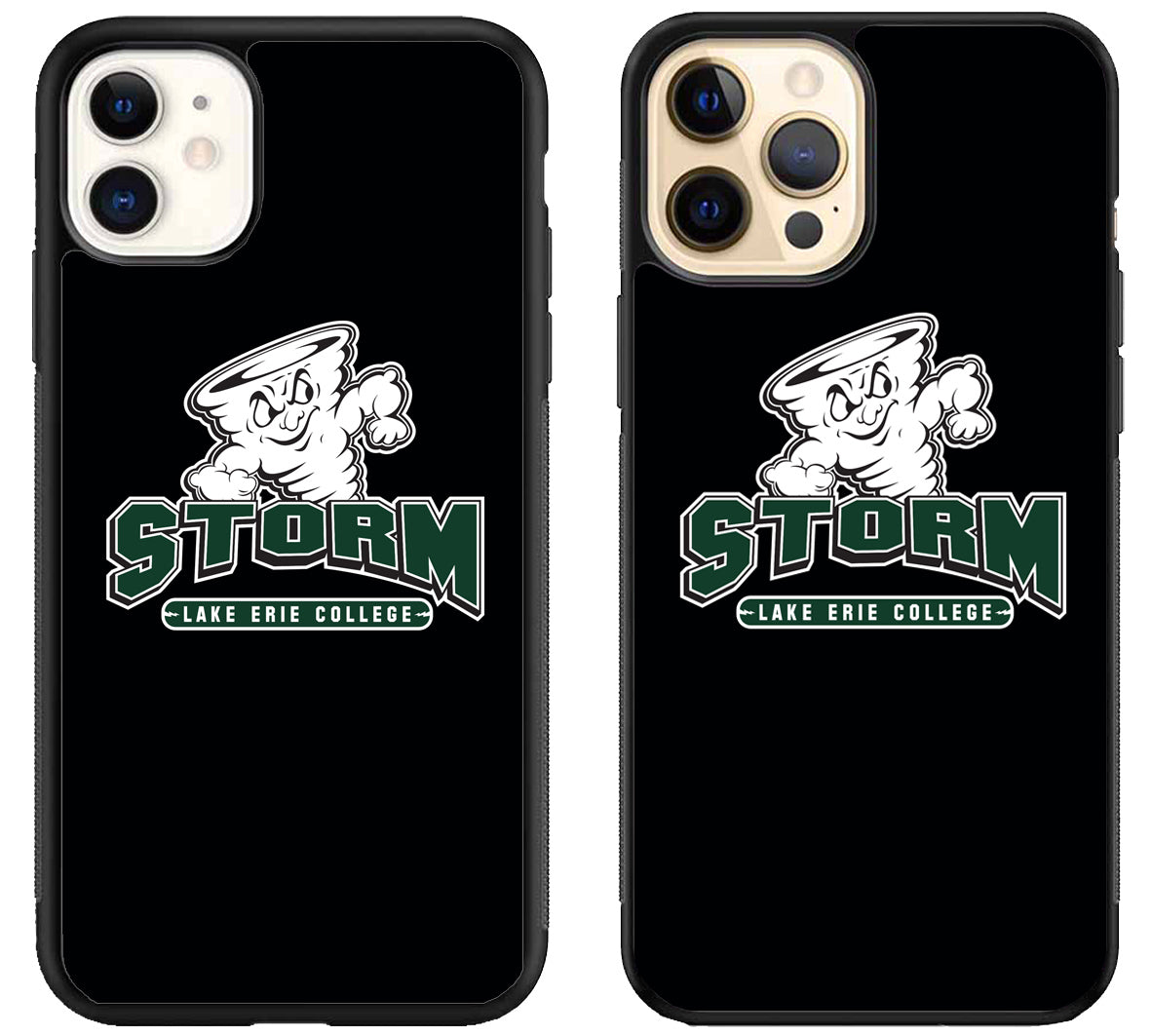 Lake Erie Storm Black iPhone 12 | 12 Mini | 12 Pro | 12 Pro Max Case